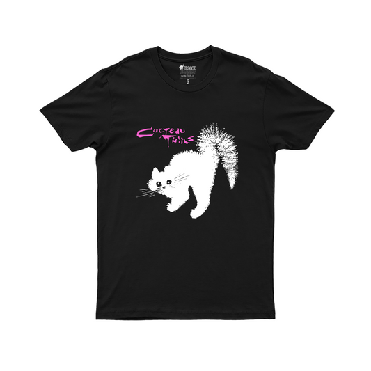 ienvy X Murdock Inc. - Cocteu Twins